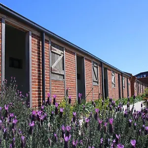 Dusty Hill Vineyard - Resort
